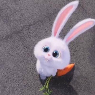 搞怪白兔微信头像