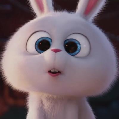 搞怪白兔微信头像