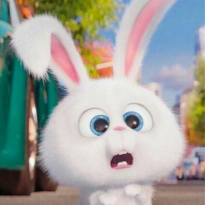 搞怪白兔微信头像