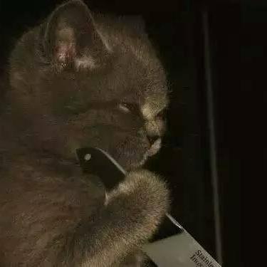 微信恶搞情侣头像