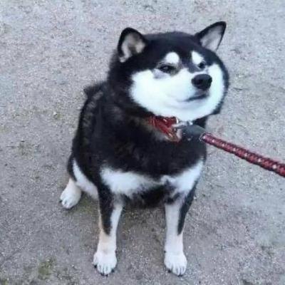 微信恶搞情侣头像