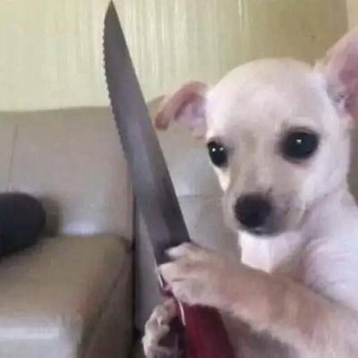 微信恶搞情侣头像