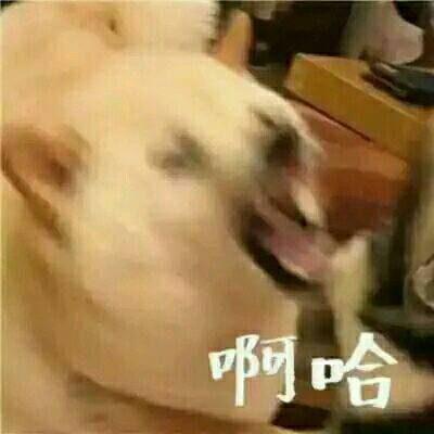 微信恶搞情侣头像