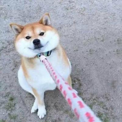 微信恶搞情侣头像