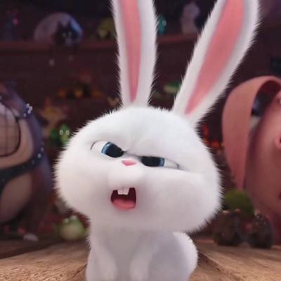 搞怪白兔微信头像