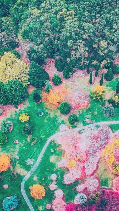 粉嫩少女心聊天背景