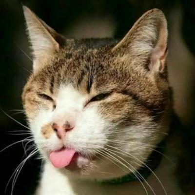 微信恶搞情侣头像