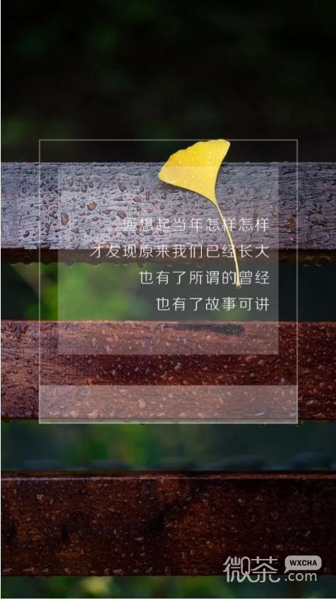 今生有你微信伤感朋友圈配图