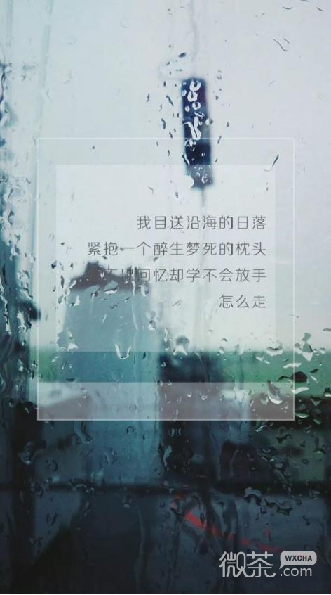 今生有你微信伤感朋友圈配图