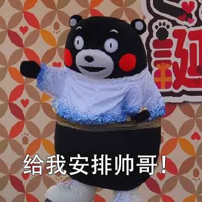 抖音安排微信表情包图片熊本熊 给我安排的明明白白微信表情包