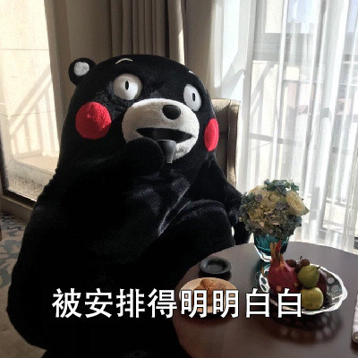 抖音安排微信表情包图片熊本熊 给我安排的明明白白微信表情包