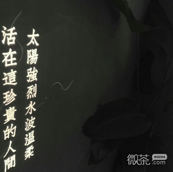 微信个性非主流朋友圈文字配图
