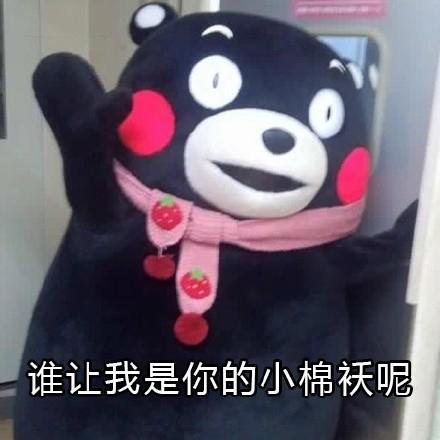 哄老爸专用微信表情包