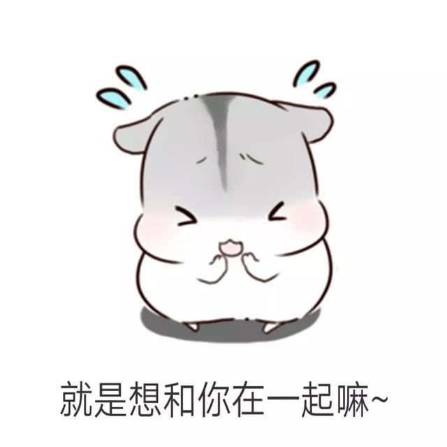 调戏男朋友微信表情包