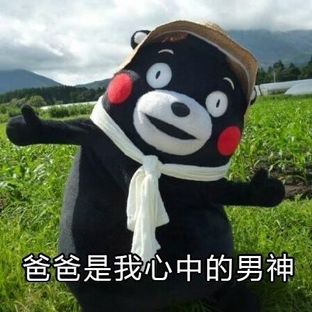 哄老爸专用微信表情包