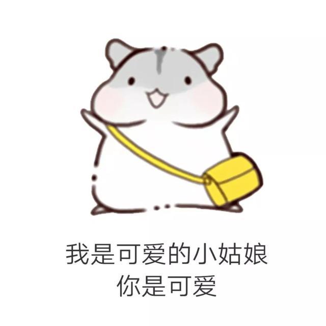 调戏男朋友微信表情包
