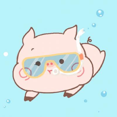呆萌小猪微信头像