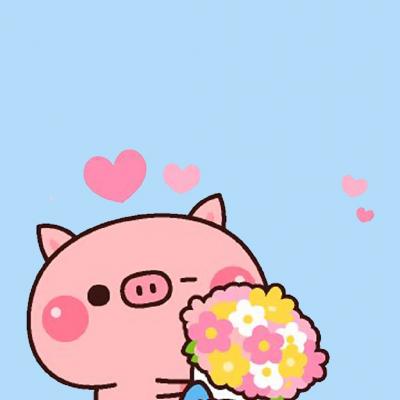 呆萌小猪微信头像