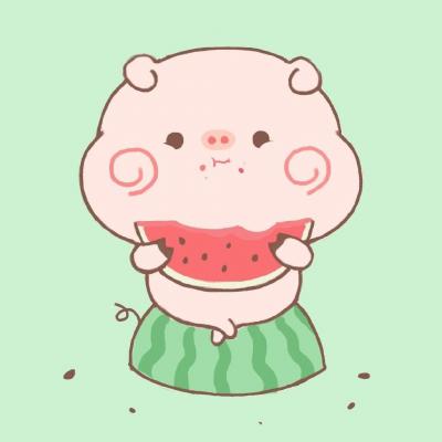 呆萌小猪微信头像