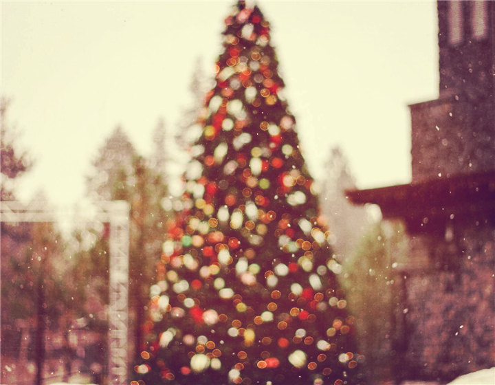 圣诞节雪景唯美微信朋友圈配图