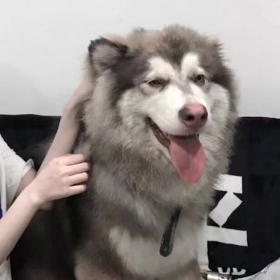 社会非主流微信头像