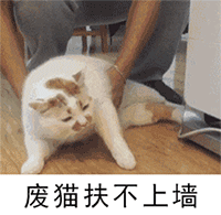 微信动态喵星人表情包