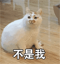 微信动态喵星人表情包