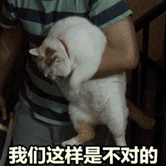 微信动态喵星人表情包