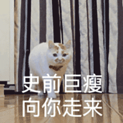 微信动态喵星人表情包