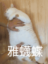 微信动态喵星人表情包