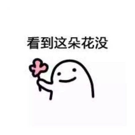 看到这朵小花没？微信恶搞表情包