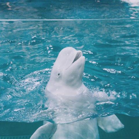 唯美风景小清新头像