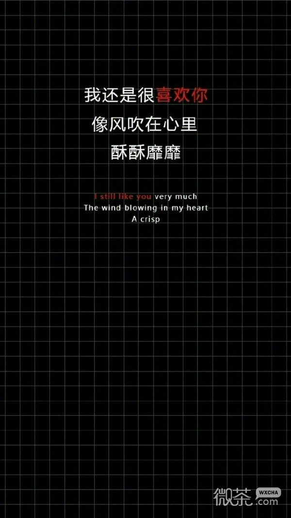 情话文字微信聊天背景