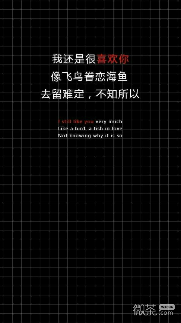 情话文字微信聊天背景