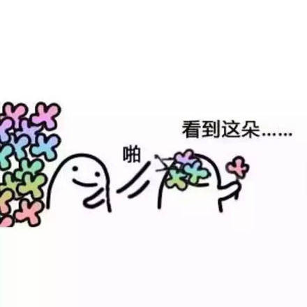 看到这朵小花没？微信恶搞表情包