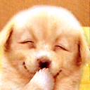 经典微信聊天表情包