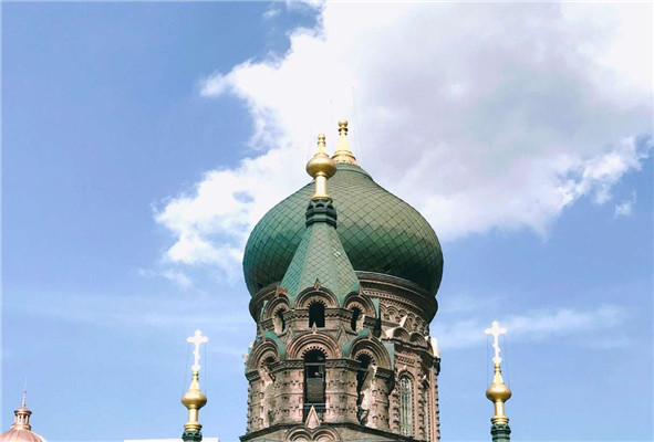 唯美小清新微信城市头像