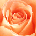 经典微信聊天表情包