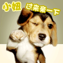 经典微信聊天表情包