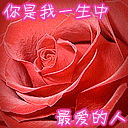 经典微信聊天表情包