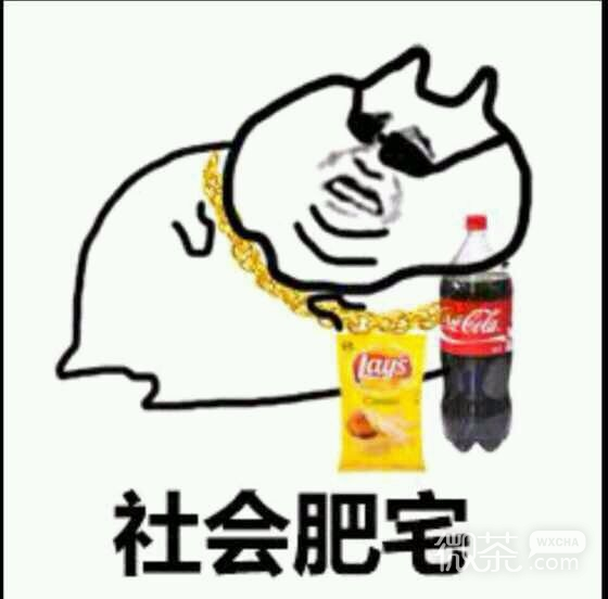 肥宅快乐水微信表情包