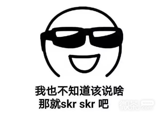 skr微信恶搞表情系列