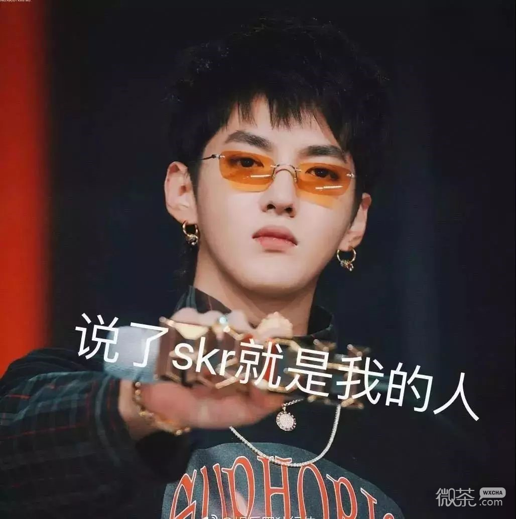 skr微信恶搞表情系列
