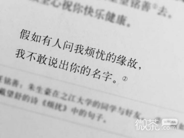 人间已无我微信文字朋友圈配图