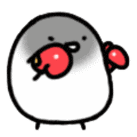 动态卡通小鸟微信头像