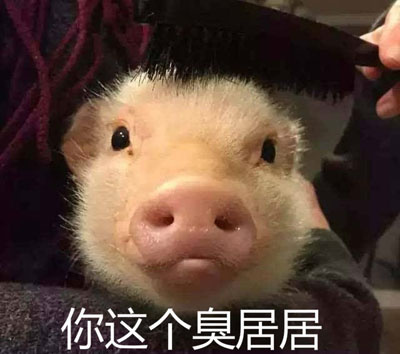 居居系列微信表情包