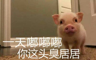 居居系列微信表情包