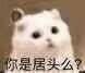 居居系列微信表情包
