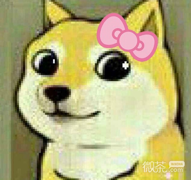 神烦狗微信搞笑表情包