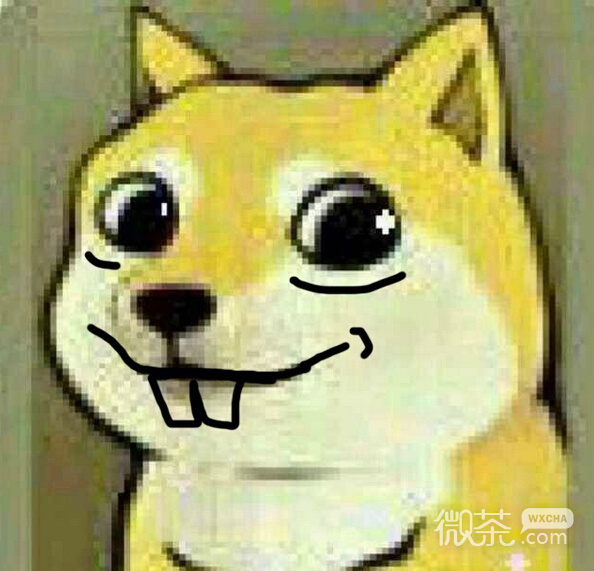 神烦狗微信搞笑表情包